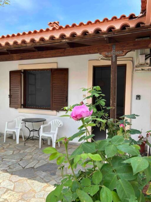 Апартаменты Cozy Studio In Skala, Agistri Экстерьер фото